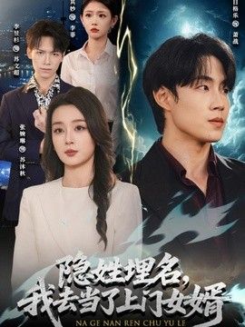 隱姓埋名，我去當了上門女婿海報